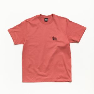 BASIC ST??SSY TEE
